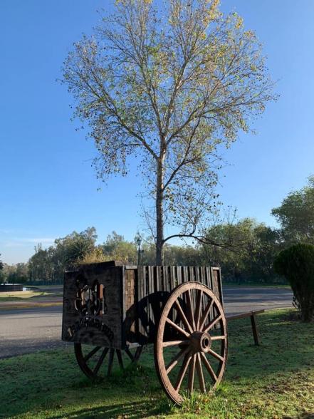 Lo que no sabías del Parque Tangamanga en SLP, el Central Park potosino