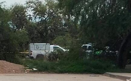 Lo que se sabe sobre la muerte de Brandon de Jesús, menor de 12 años 