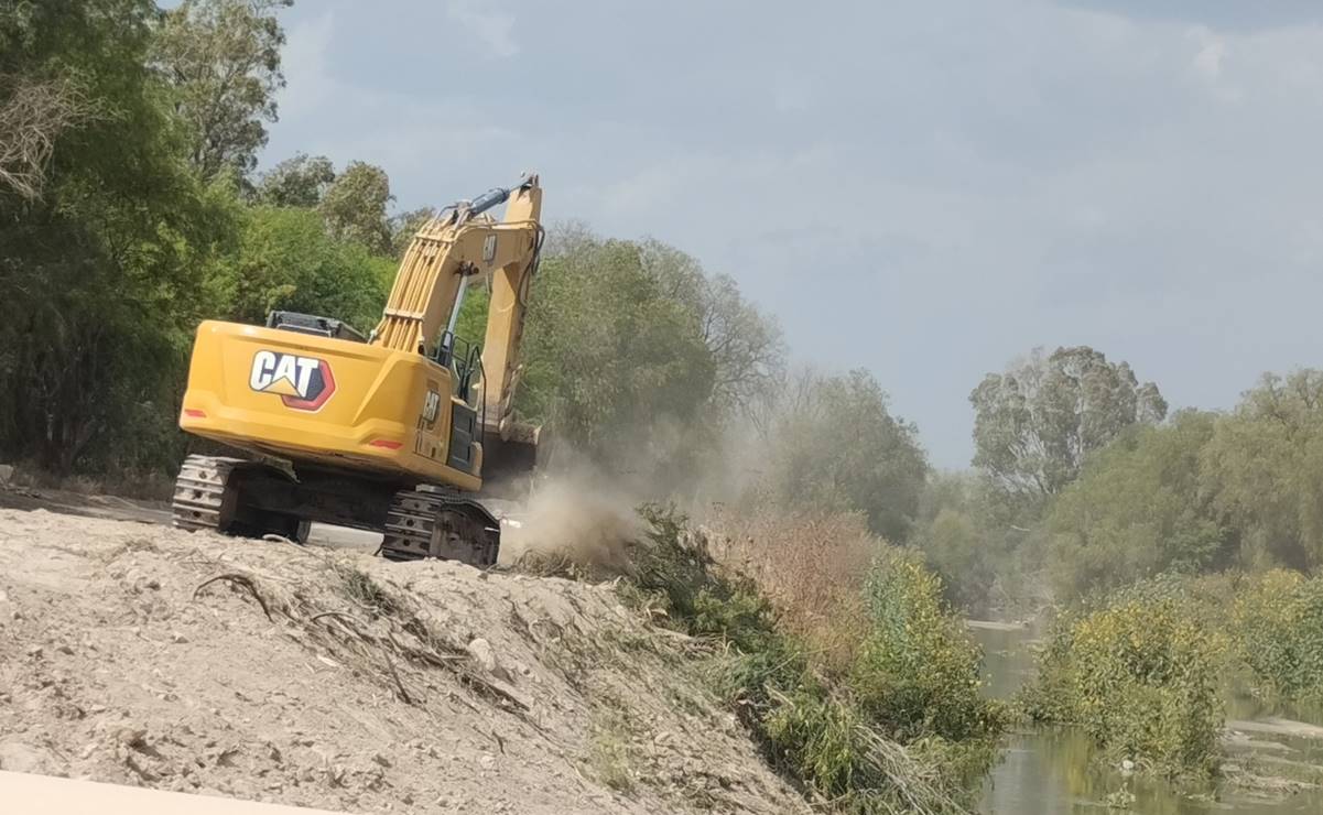 Juzgado ordena suspender obras en Boulevard Río Santiago de SLP por tala de árboles