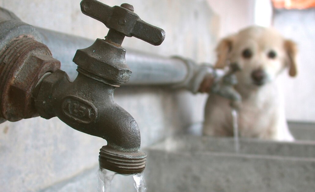 Incremento autorizado a Interapas es de 14.34%, aclara diputado