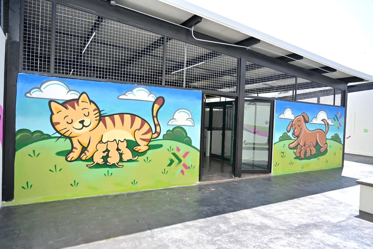 FOTOS: Así es el Refugio y Hospital "Huellitas" para perros y gatos en SLP 