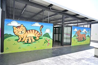 FOTOS: Así es el Refugio y Hospital "Huellitas" para perros y gatos en SLP