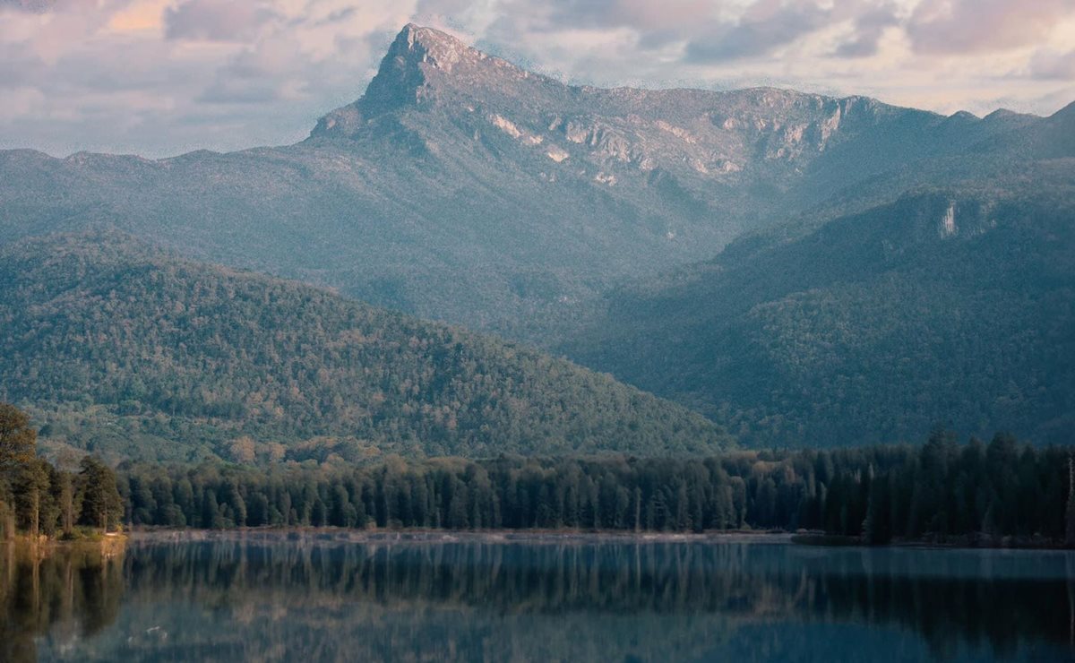 Continúa proyecto para declarar bosques de Tamazunchale como Área Natural Protegida