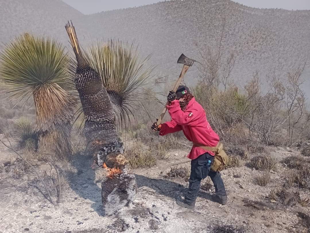 Incendios forestales de SLP fueron provocados por humanos: Conafor