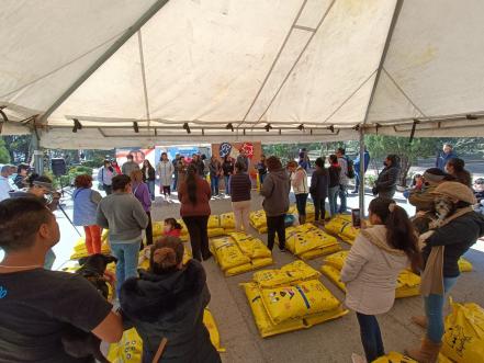 Perritos y gatitos buscan hogar: invitan al tercer Festival de Adopción en SLP