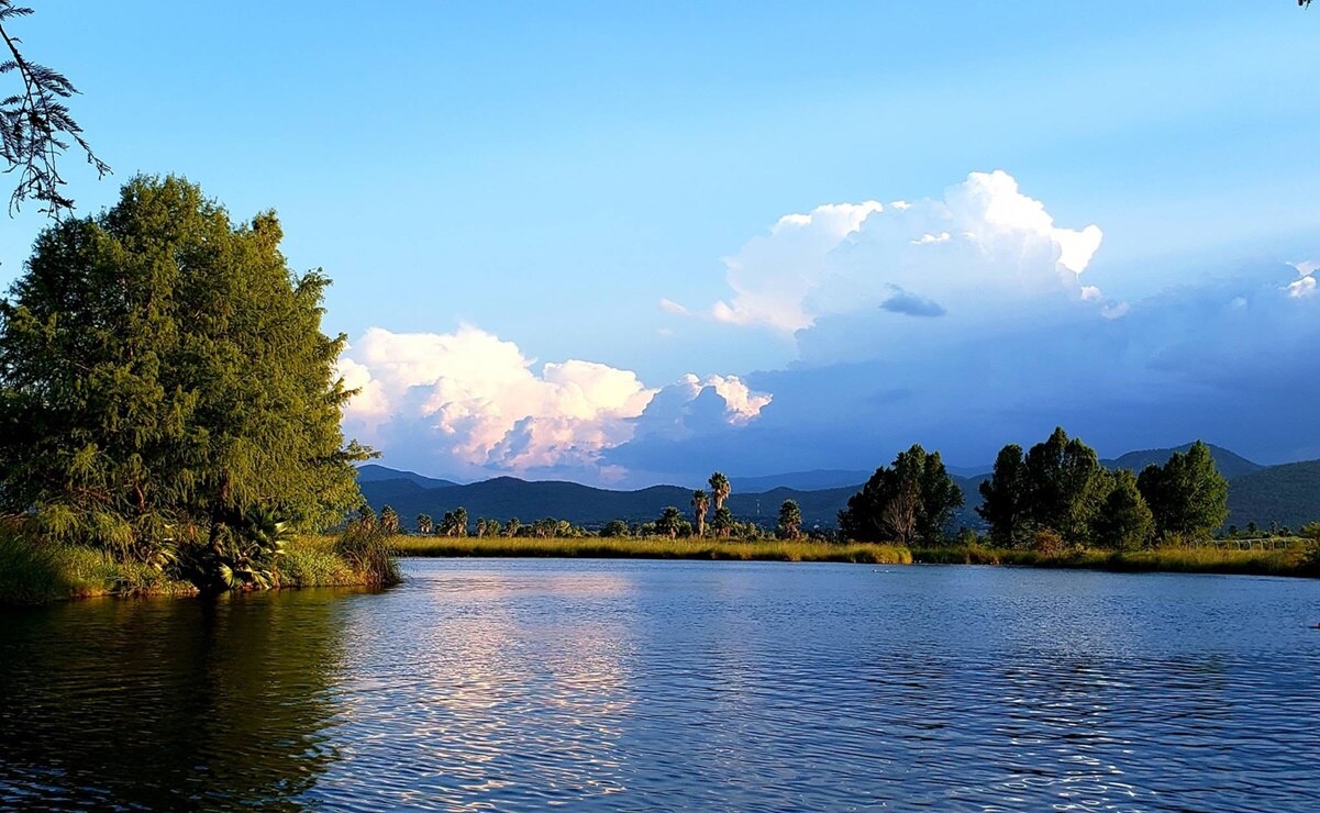 Manantial de la Media Luna: Conoce costos y horarios de este ícono de la naturaleza en SLP 