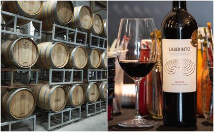 Conoce dónde se produce el vino potosino reconocido entre los mejores de México y el mundo  