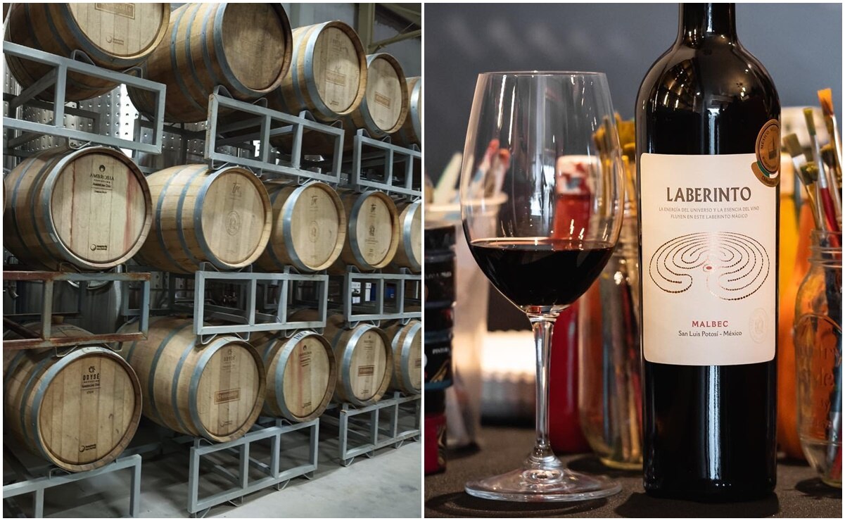 El vino de Cava Quintanilla se ha posicionado entre los mejores del mundo. Fotos: Jazmín Ramírez García