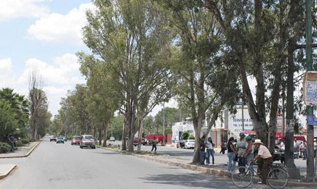 Foto: Archivo El Universal San Luis Potosí.