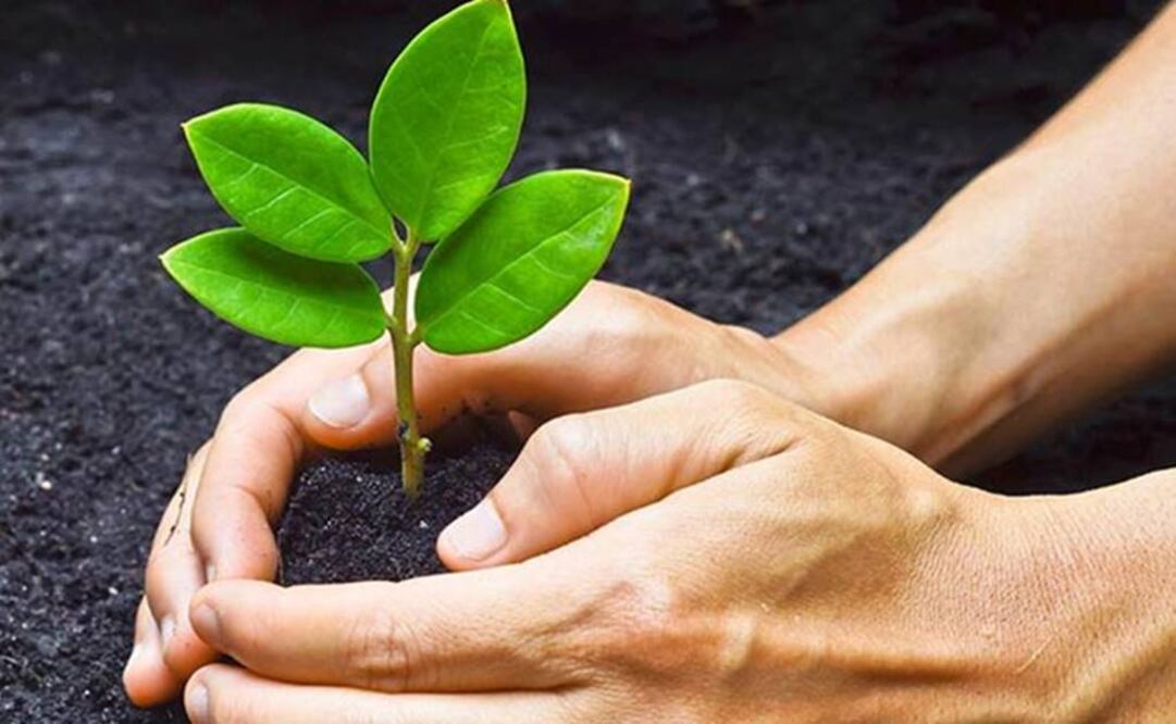 Pide diputado mayores recursos para atender tema ambiental