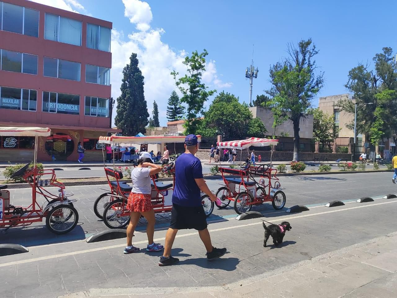 Paseo Dominical de SLP