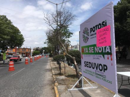 Interponen amparo para la protección del arbolado de la avenida Himno Nacional en SLP