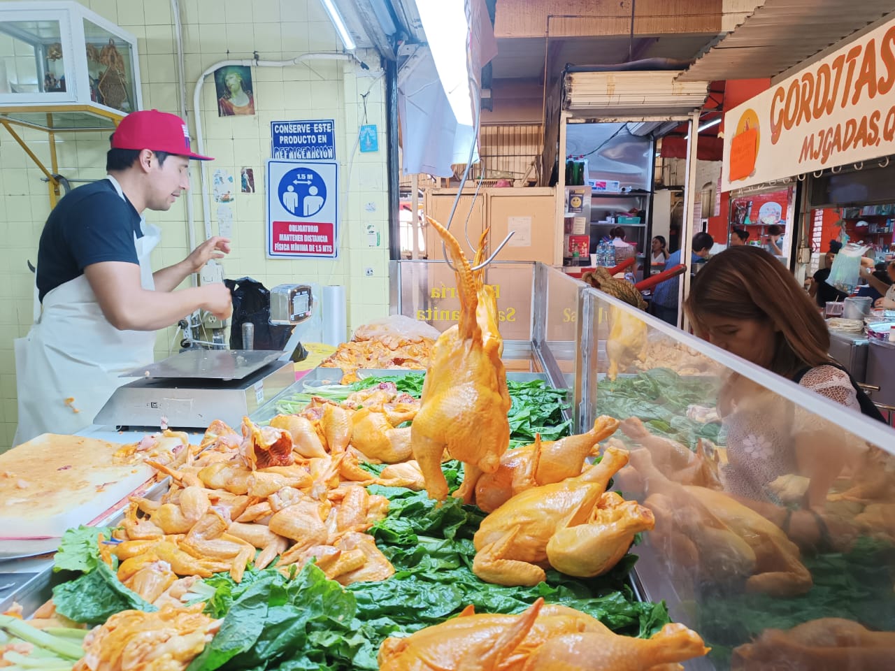 Llama Secretaría de Salud a no alarmarse por gripe aviar H5N2; no hay riesgo en SLP