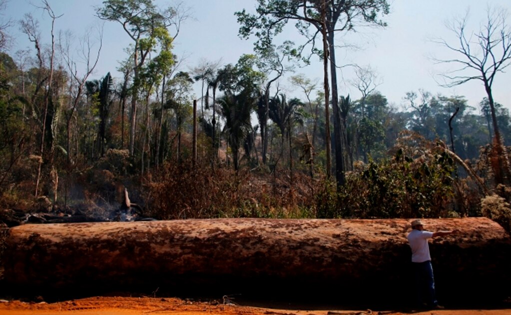 Algunos científicos sostienen que la Amazonia ha sufrido pérdidas aceleradas desde que Jair Bolsonaro asumió la presidencia (Foto: Reuters)