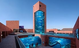 ¿Habrá un mega acuario en San Luis Potosí? Esto es lo que se sabe del proyecto
