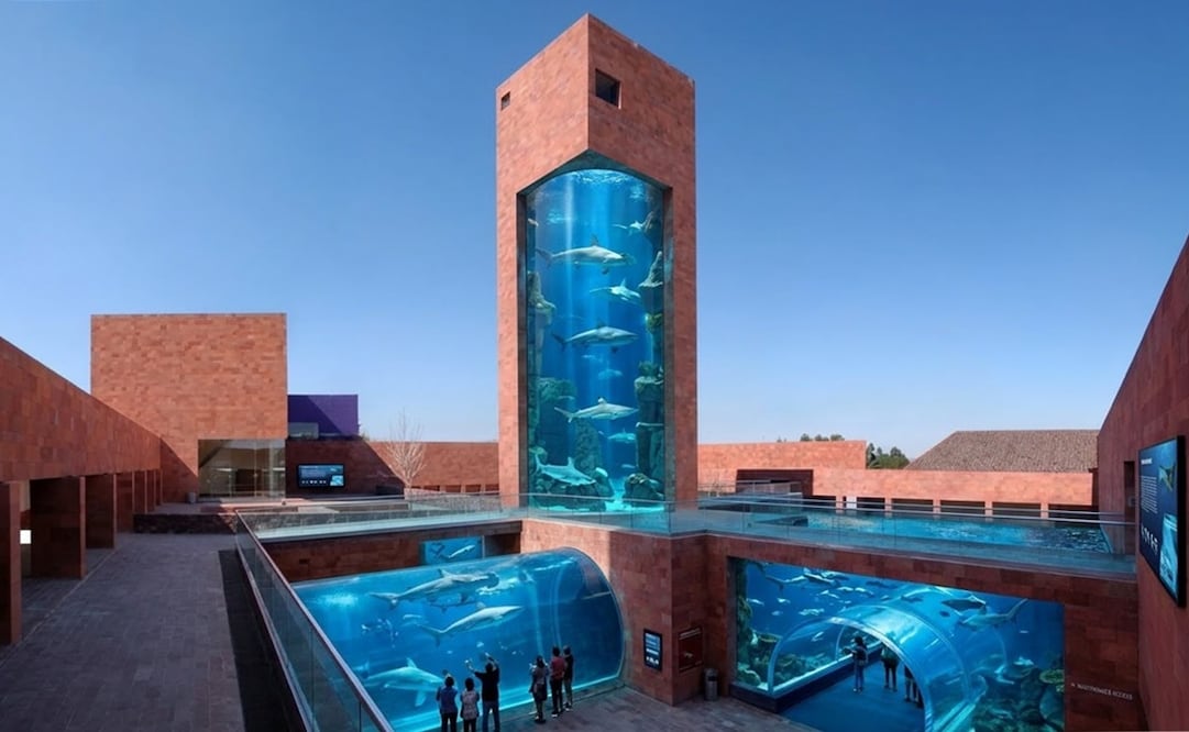 Proyecto de acuario en SLP. Imagen: Generada con IA