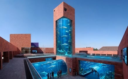 ¿Habrá un mega acuario en San Luis Potosí? Esto es lo que se sabe del proyecto