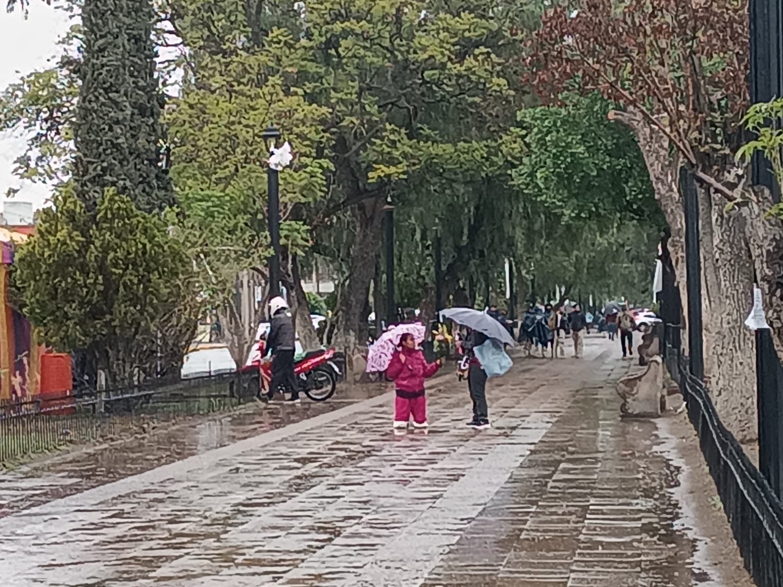 Baja afluencia en Basílica de Guadalupe previo a las Mañanitas en SLP