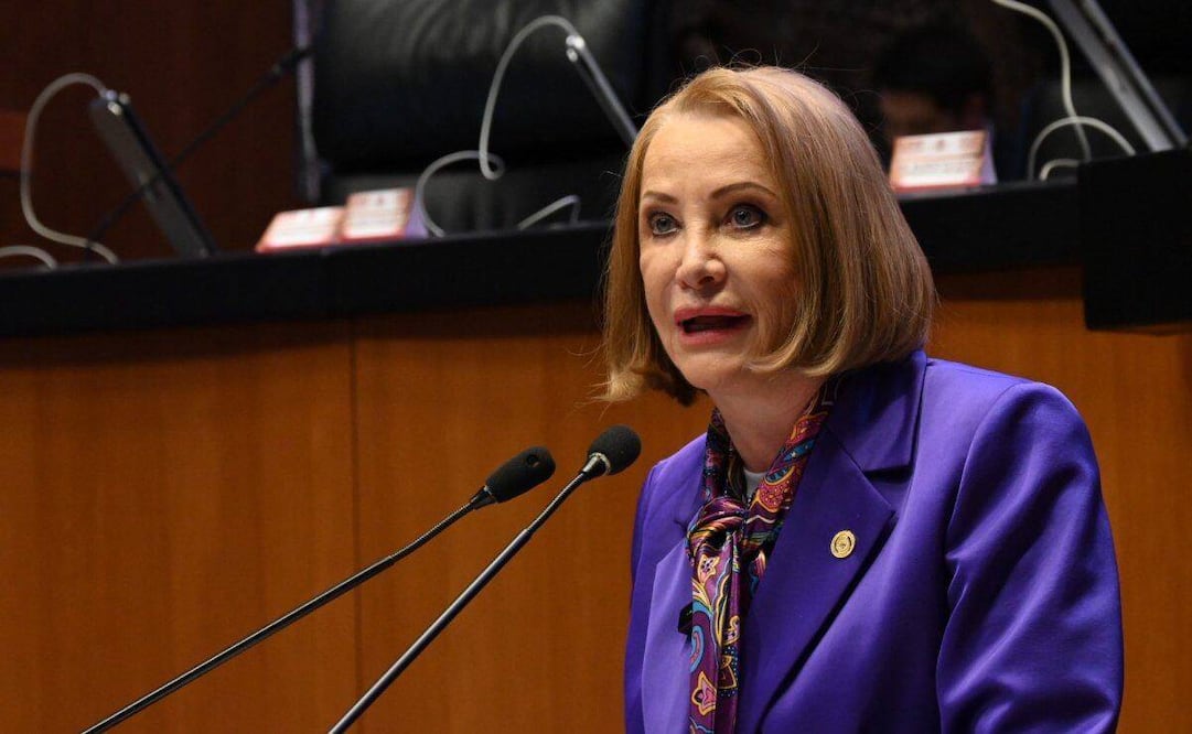 Laura Itzel Castillo, senadora de Morena. Foto: Especial