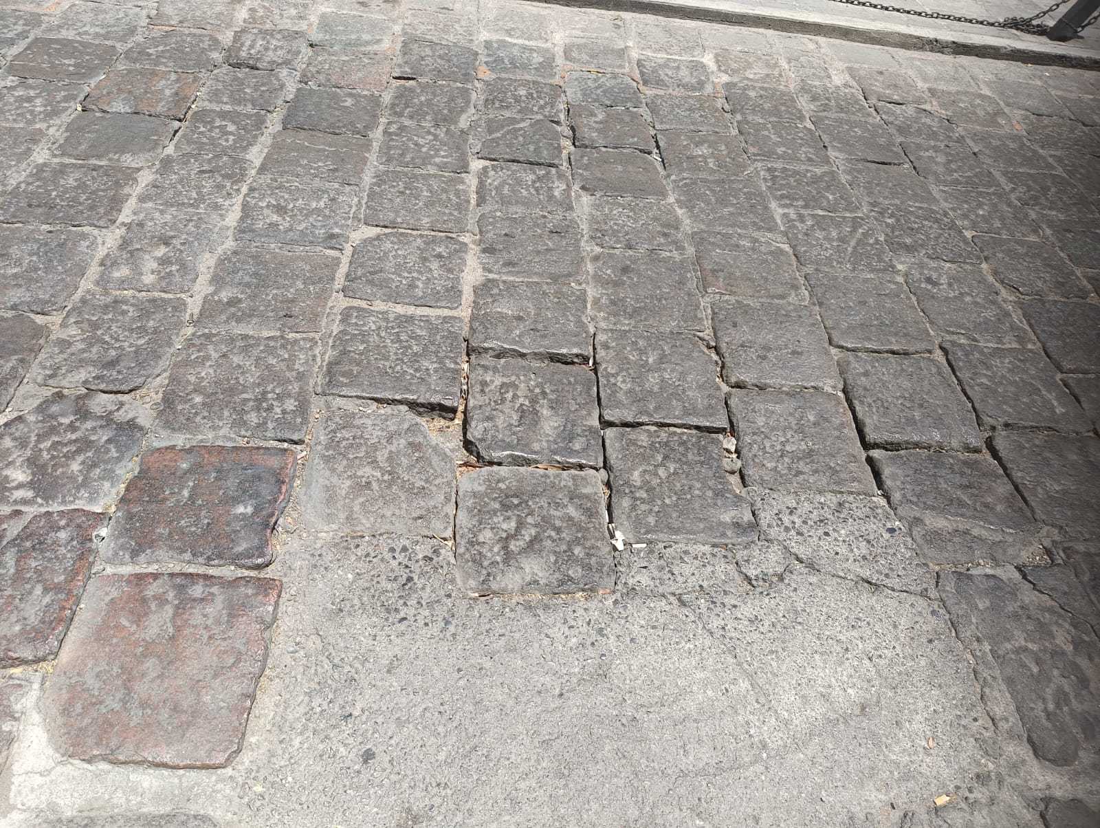 Foto: Jazmín Ramírez García