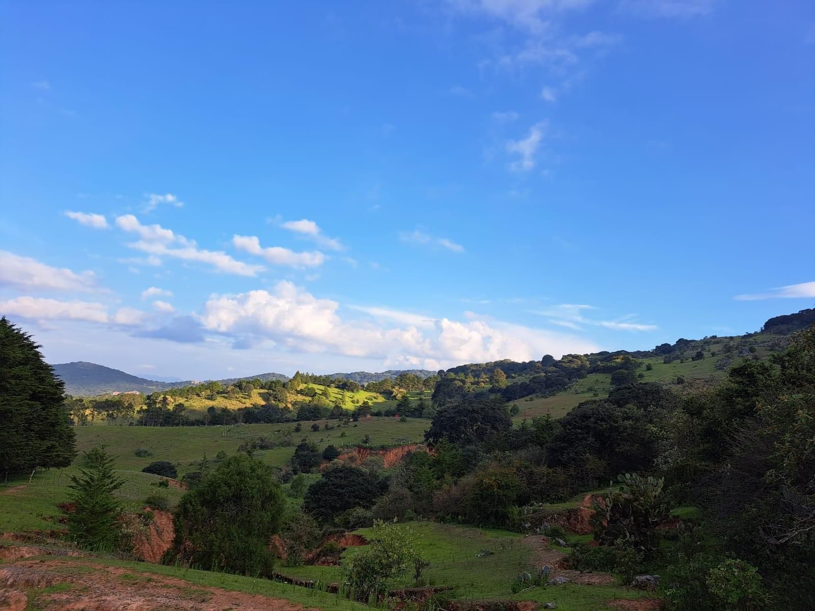 Sierra de Álvarez. Foto de redes sociales