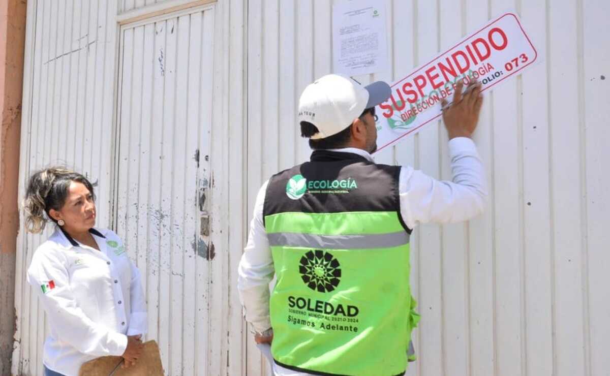 Por riesgos a la salud y operar sin permisos, clausuran granja porcícola en Soledad