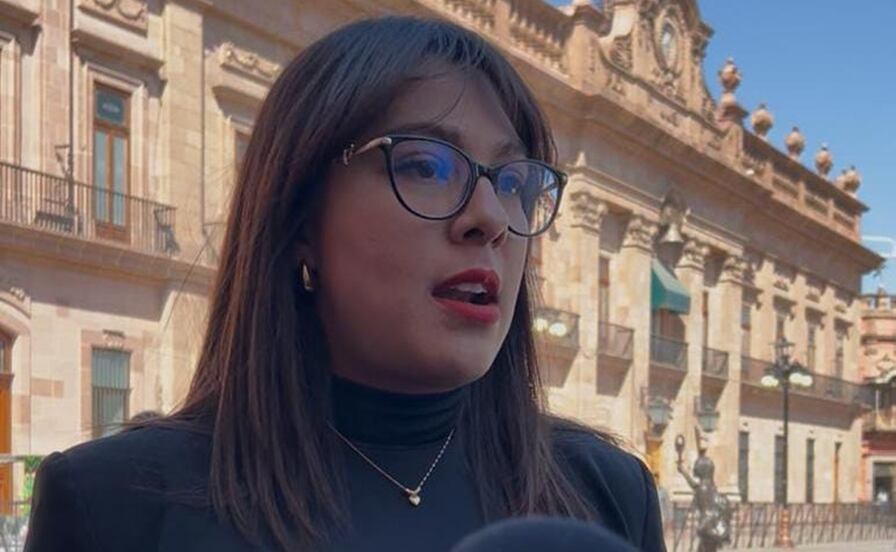 Federación levantará Alertas de Violencia de Género "por obsoletas", revela diputada Gaby Torres
