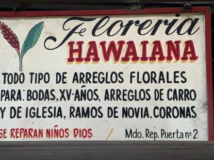 Ramitos, amuletos chinos y sahumerios, los rituales que ofrecen en el mercado República para 2023 