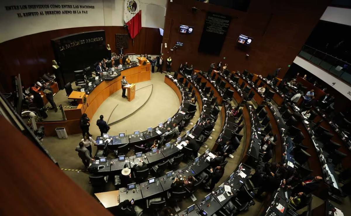 PVEM presentará la reserva para que la prohibición del nepotismo entre en vigor hasta 2030 . Foto: Carlos Mejía/EL UNIVERSAL