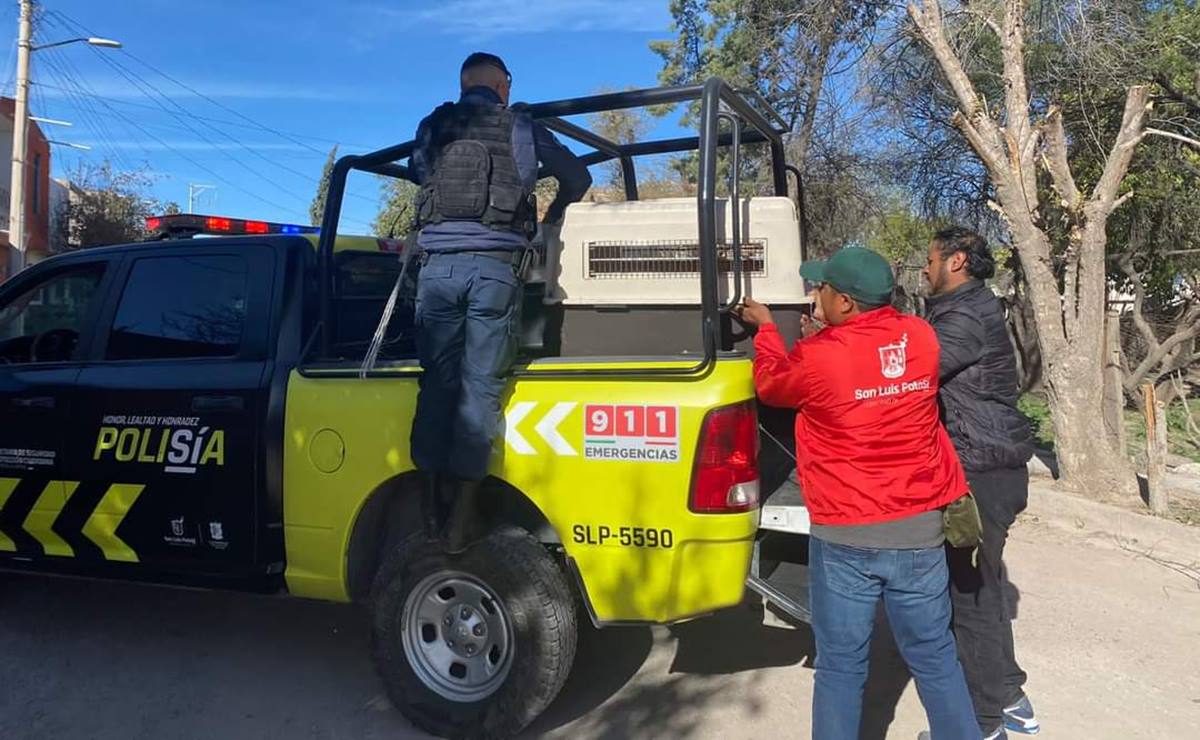 Maltrato animal: Ahorcan a perrito en la capital de SLP; fiscalía investiga