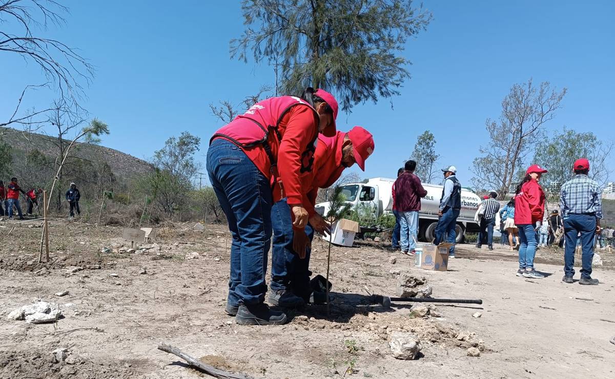 San Luis Potosí tendrá un pulmón urbano en la Carretera 57