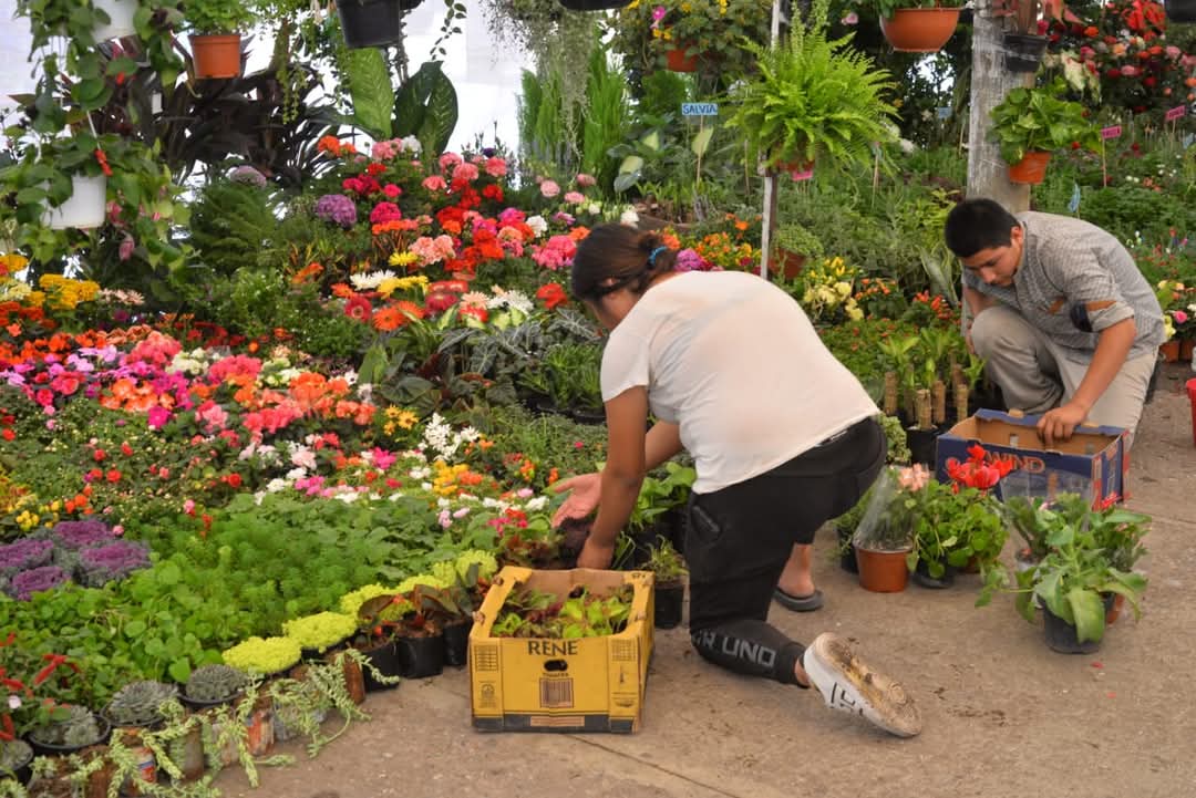Feria de las Flores. Foto: Especial
