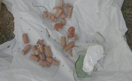 Encuentran salchichas con alfileres en parques de España; buscan lastimar a perros