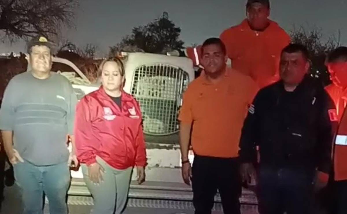 Rescatan a lomito que cayó a un pozo de 12 metros de profundidad en San Luis Potosí 