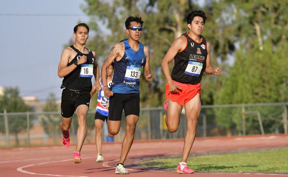 Los 22 alumnos de la UASLP, que participarán en el evento deportivo, se disputarán en la disciplina de atletismo en las categorías sub 20 y sub 23. Foto: Especial