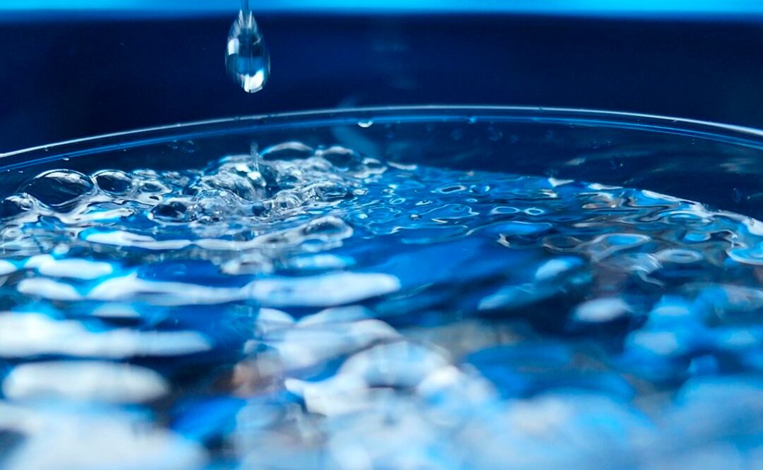 Foto: Archivo. El Universal.