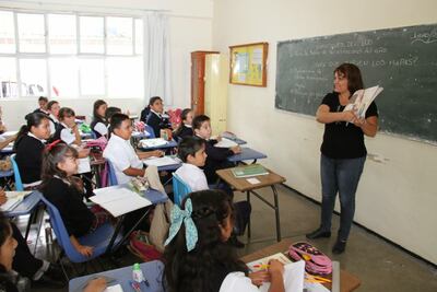 “Candidatos no se meten a fondo en tema educativo”