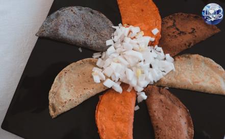 Buscan promover la conservación de la tortilla natural en SLP