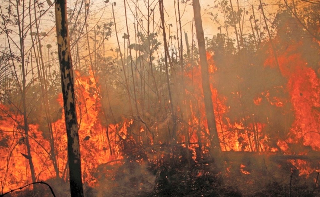 “Amazonas no pertenece a la humanidad... eso es una bobería”