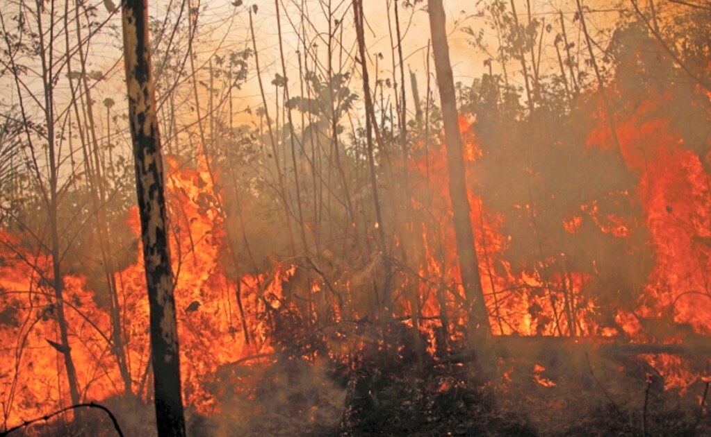 Foto/UESLEI MARCELINO. REUTERS