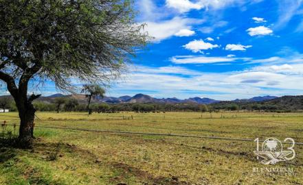 En riesgo, 130 años de tradición taurina