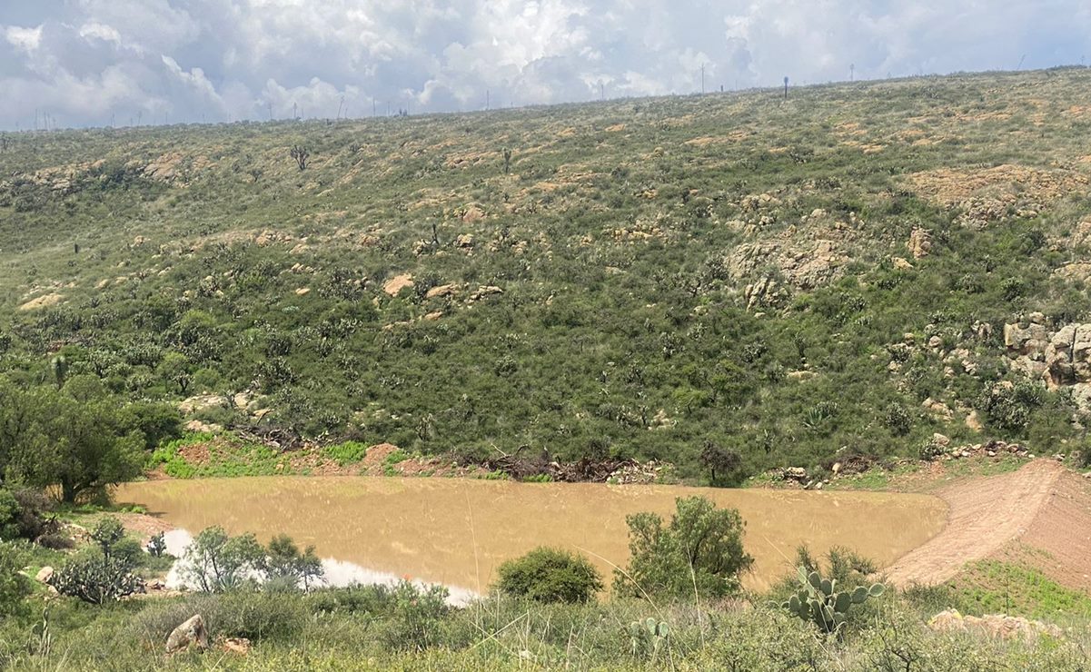Lluvias provocan afectaciones en casi 3 mil hectáreas en el campo de SLP