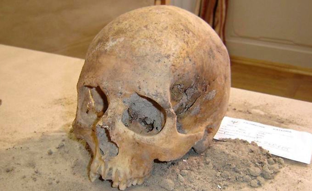 Recuperan cráneo de un cruzado momificado de hace 800 años