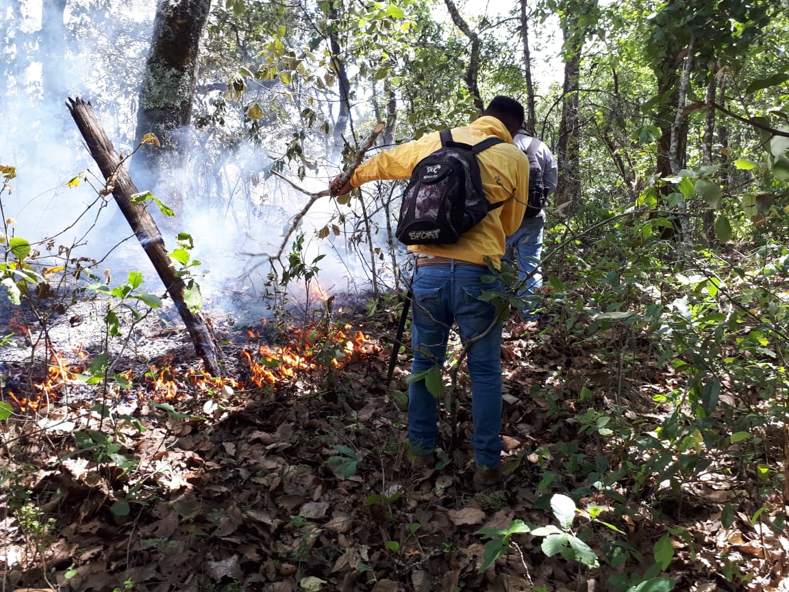 Se mantienen activos 4 incendios en SLP
