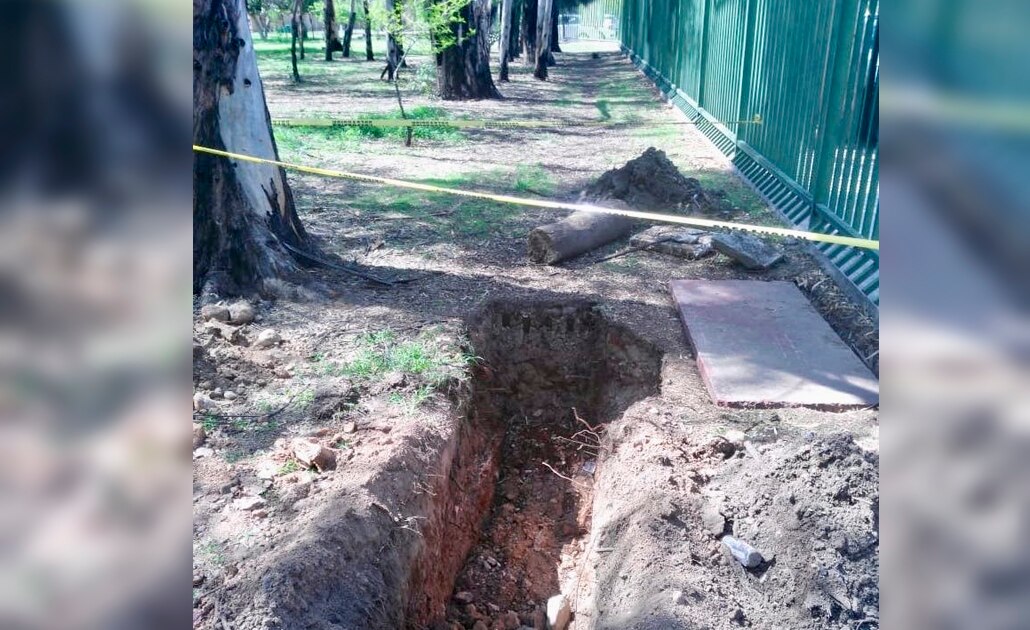 No habrá tala de árboles en Parque de Morales, aclara Ayuntamiento de SLP