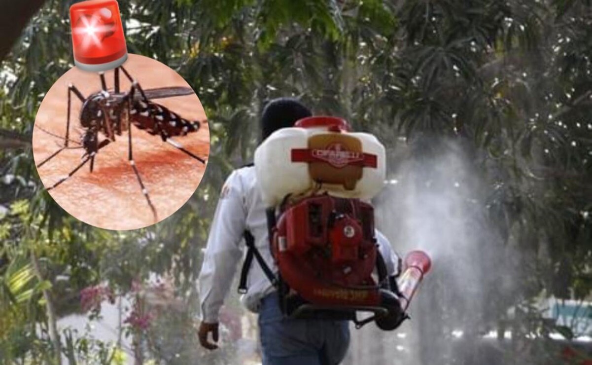 ¡No bajes la guardia! San Luis Potosí se acerca a los 2 mil casos de dengue en lo que va del 2024