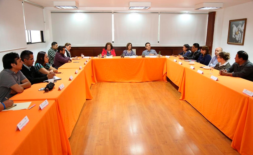 Sesiona Consejo Técnico Estatal para Personas con Discapacidad