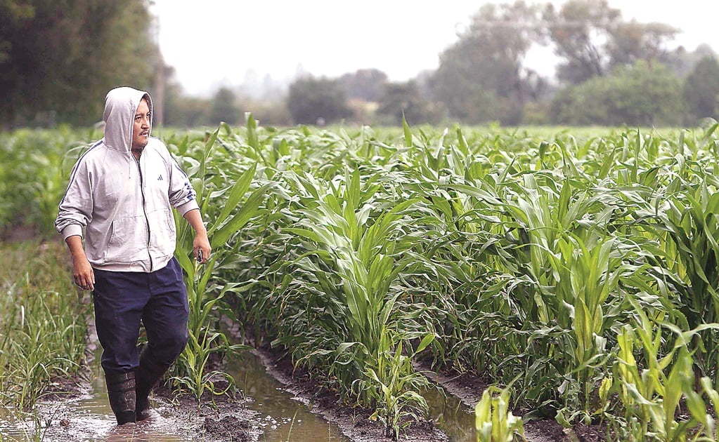 Prevén lluvias con tormentas eléctricas en sierras de zona Media de SLP para este martes