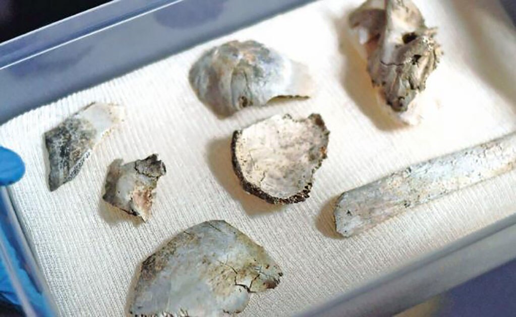 Hallan fragmentos de Luzia bajo escombros de museo en Brasil