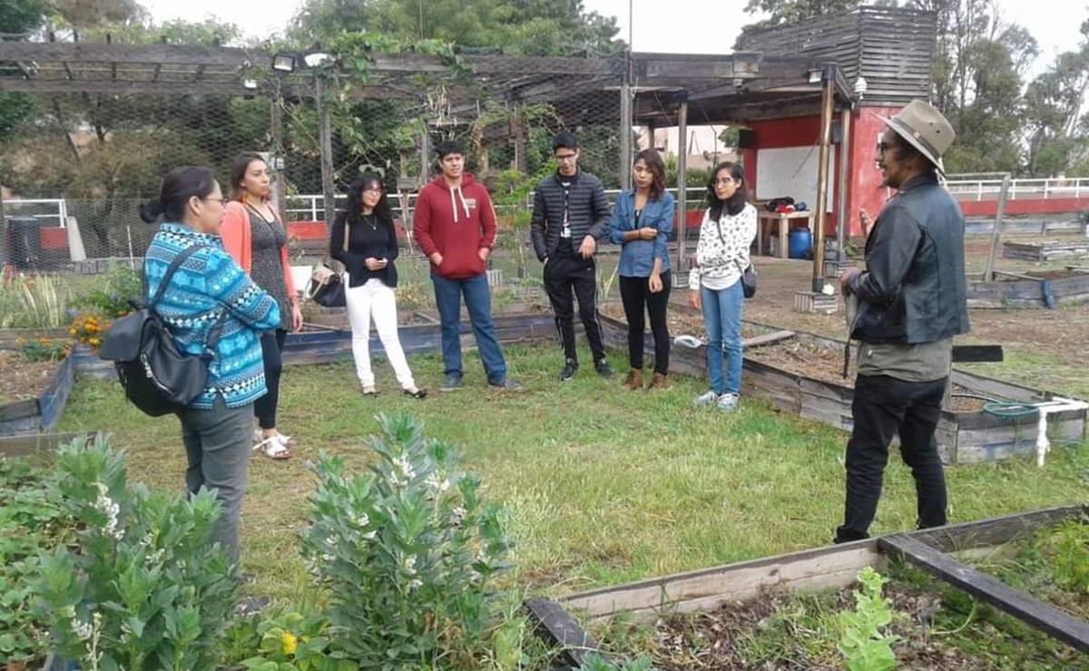 Aprende a diseñar huertos urbanos, Agenda Ambiental de la UASLP te enseña